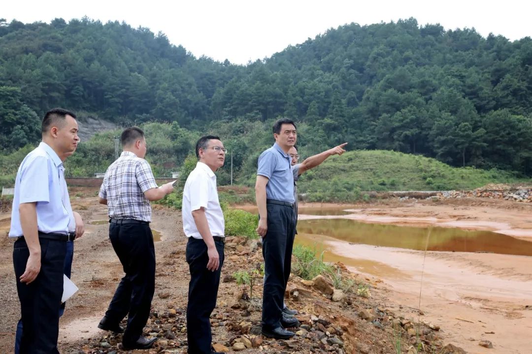 李红军来到大宝山矿新山土壤修复点,实地查看土壤修复治理工程开展